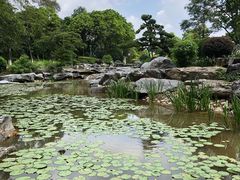 -东莞植物园