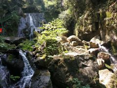 -藏龙百瀑风景区