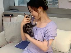 -lincat·猫舍(广州店)