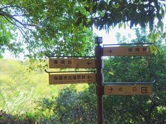 -宁波市保国寺古建筑博物馆