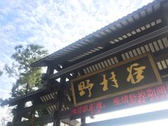 -黄陂区野村谷景区