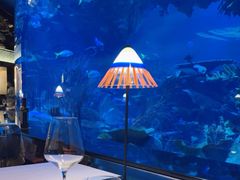 -迪拜帆船酒店海底餐厅