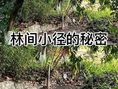 -广西壮族自治区药用植物园