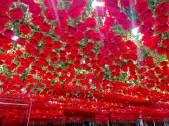 -上海梵高星空艺术馆(南京路旗舰店)