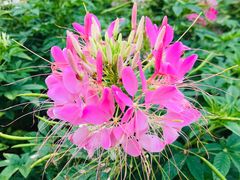 -江苏三台山国家森林公园