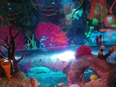 -沈阳海洋探索中心