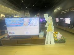 -Sony Store 索尼(来福士店)