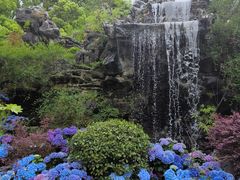-上海鲜花港