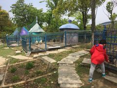 -上海滴水湖皇冠假日酒店