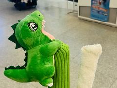 -YONEX苗江运动城(源深店)