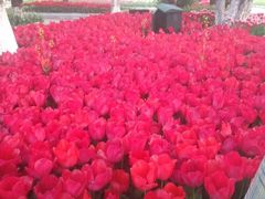 -宋记冕宁土菜馆(海门渔村二店)