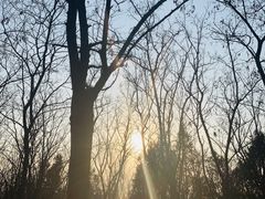 -云岗森林公园