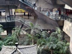 -黑龙江中医药大学附属第一医院