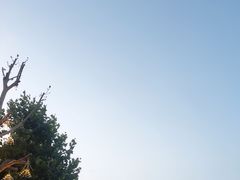 -民园广场