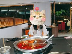 鱼火锅-味当家鱼头火锅.•甲鱼料理(金沙店)