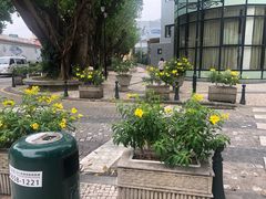 -翠华餐厅(百老汇店)