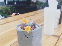 -北马山庄植趣咖啡