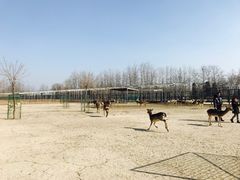 -北京麋鹿生态实验中心