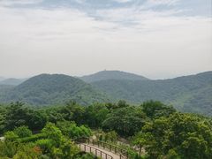 -南京老山国家森林公园