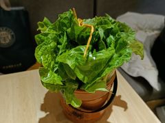 -牛腩之旅·牛腩牛杂煲(光启城美食城店)