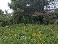 -太阳宫公园