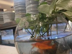 -阿里西北美食(小黄庄店)