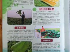 -润记农家菜