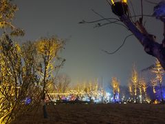 -三圣花乡旅游区