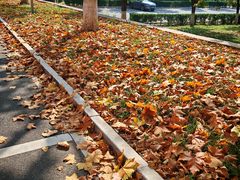-山东大学(软件园校区)