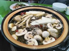 -百菇园野生菌煲(平武店)
