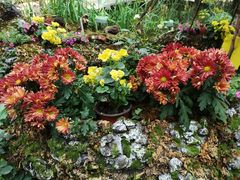 -花之城