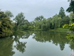 -西溪国家湿地公园