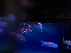 -虾享蟹逅小龙虾·螃蟹·小海鲜(吉林省总店)