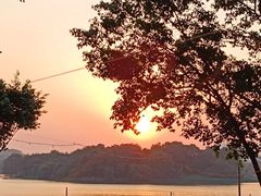 -美豪丽致酒店(广州塔琶洲会展中心店)