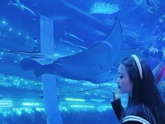 -成都浩海立方海洋公园