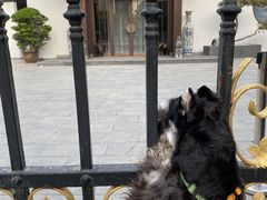 -会宾园·云山宴中餐