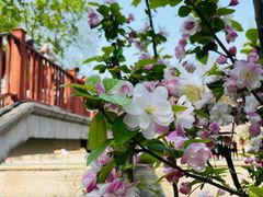 -海棠花溪(元大都城垣遗址公园)