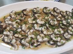 -呼吸森林·生态农庄农家乐私房菜