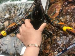 -盒马鲜生(大成店)