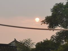 -同里国家湿地公园