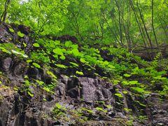 -野三坡百里峡景区