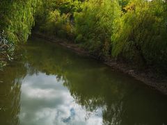 -吴淞炮台湾湿地森林公园烧烤区