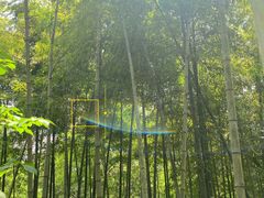 -上海佘山国家森林公园西佘山园