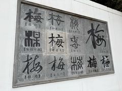 -无锡梅园公园