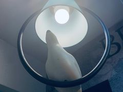 -超琪星·咖啡简餐(川音店)
