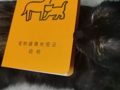 -科道动物医院·急重症中心(万达院)