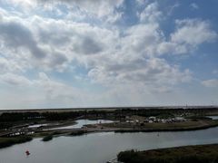 -春花秋色城市公园