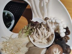 -洪氏嗨捞·广东猪肚鸡·椰子鸡火锅(西咸万象城店)