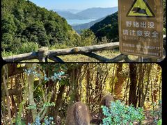 -梧桐山风景名胜区