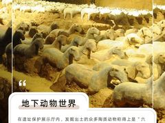 -汉景帝阳陵博物院